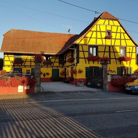 Maison Alsacienne A Andolsheim 아파트 외부 사진