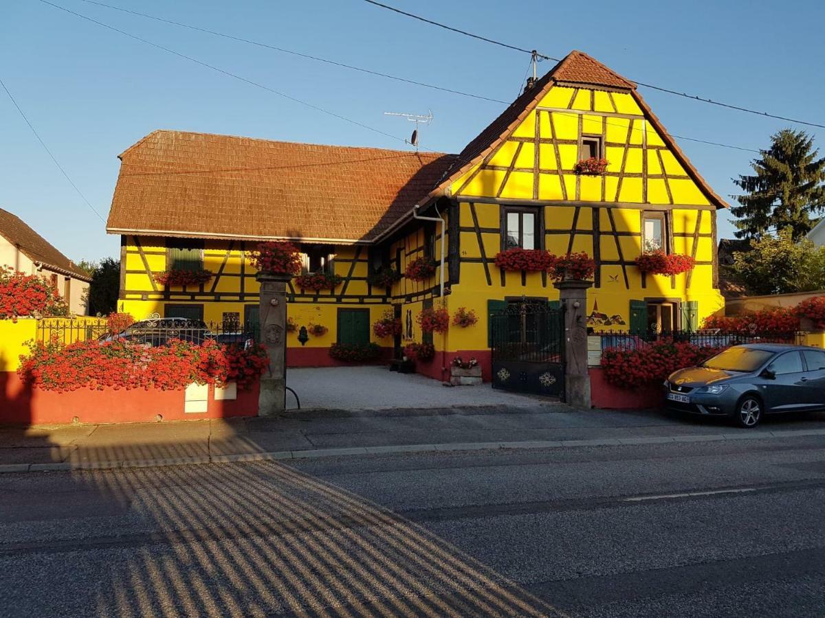 Maison Alsacienne A Andolsheim 아파트 외부 사진